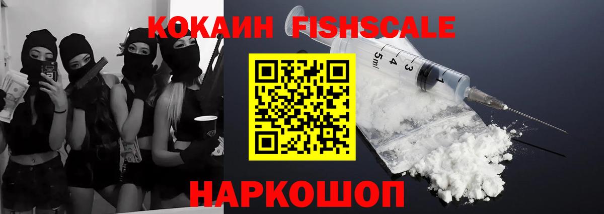 COCAIN Fish Scale  Вход с VPN  COCAIN 99%  Артём 