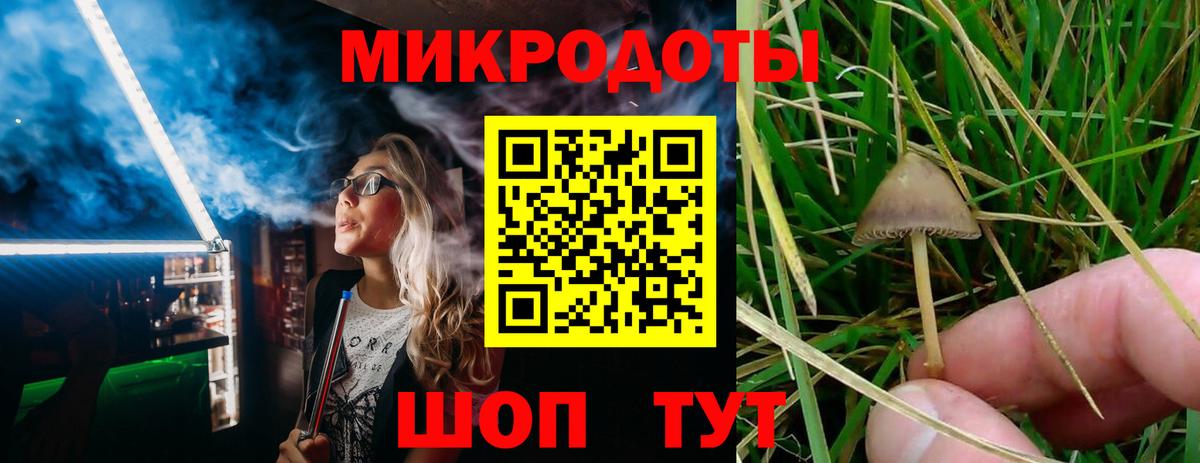 Артём  Псилоцибиновые грибы Cubensis  Галлюциногенные грибы мухоморы  Вход с VPN 